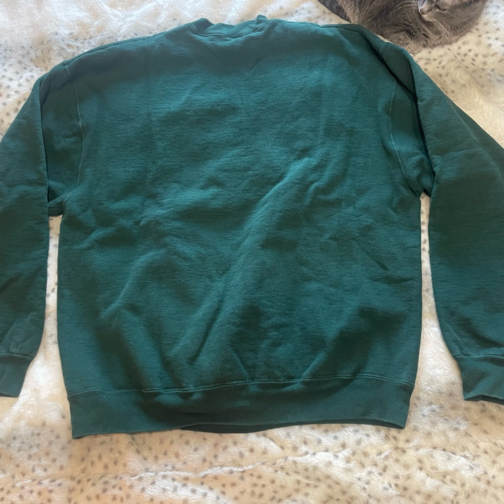 Vintage Green YMCA Men's Sweatshirt - Picture 2 of 8